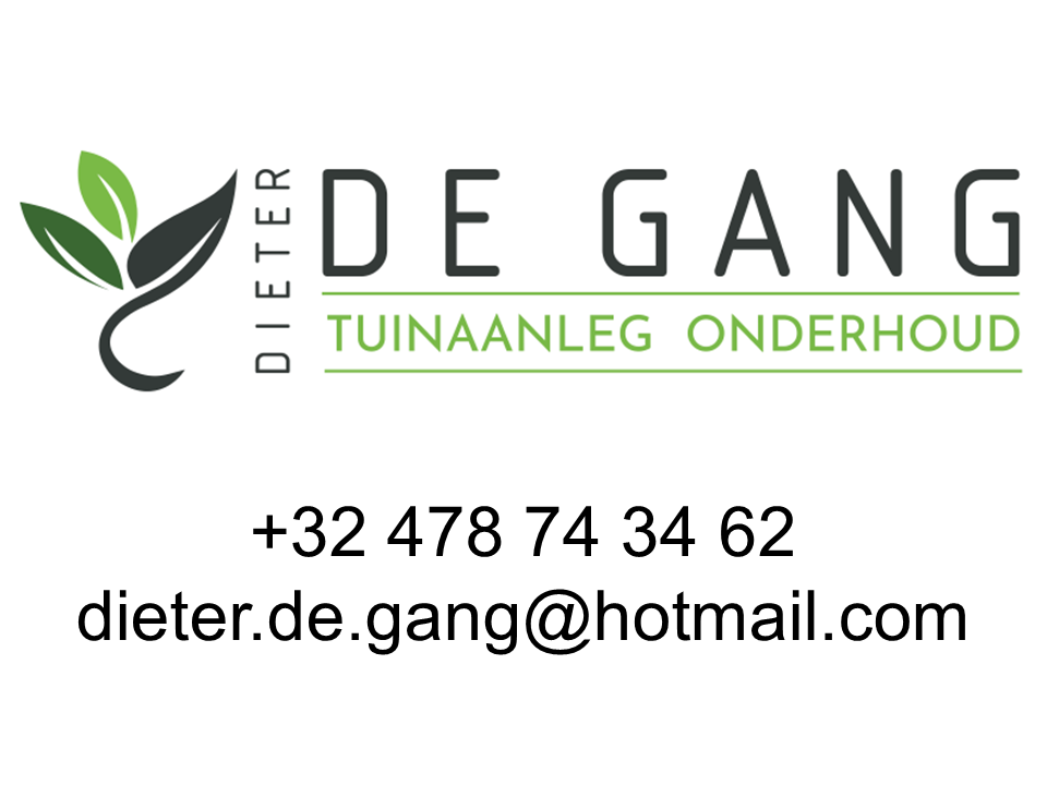 Dieter De Gang